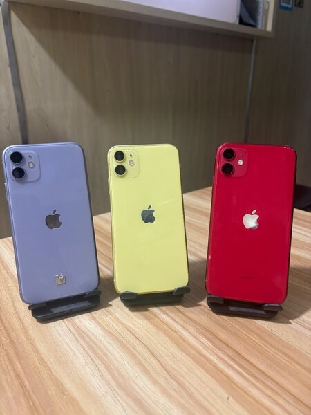 iPhone 11 - Variété de Couleurs