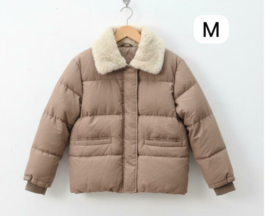 Manteaux d'hiver élégants