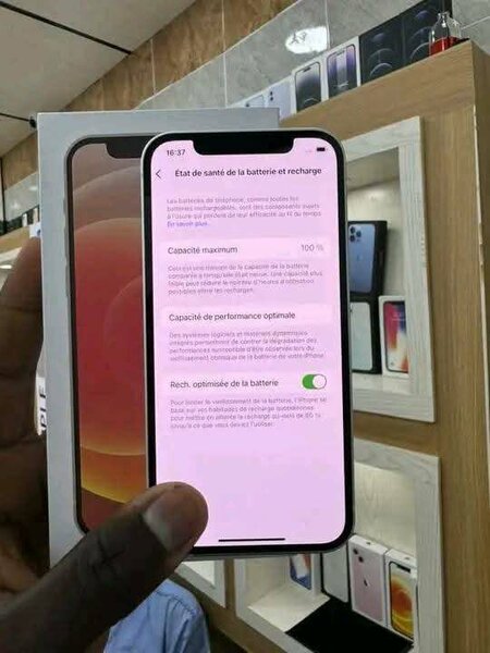 iPhone 12 Violet - Éclat