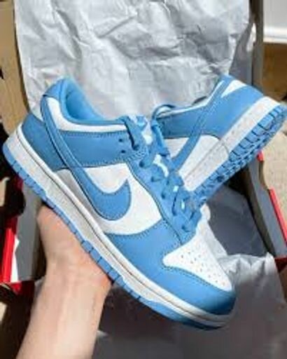 Nike Dunk Low Blue