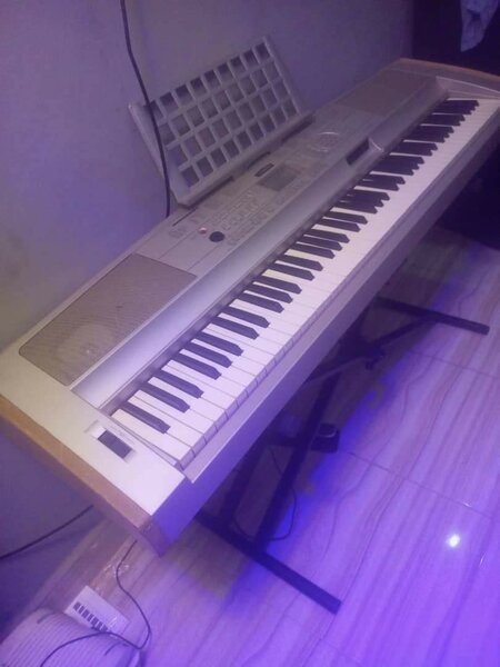 All musical instruments