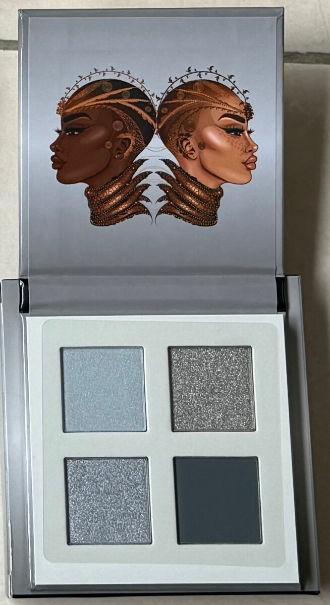 Palette de Fards à Paupières Gris