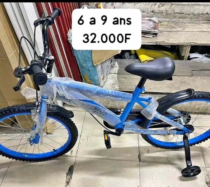 Vélo Enfant 20 Pouces