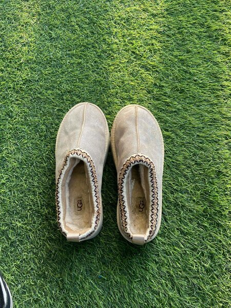 UGGs tazz