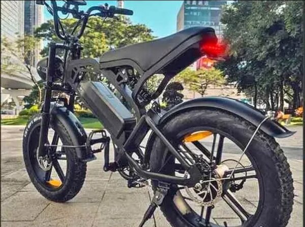 Vélo Électrique Pliable Tout-Terrain