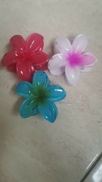Clips à cheveux fleurs colorées