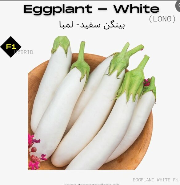 Eggplant White, F1 Hybrid (Long)