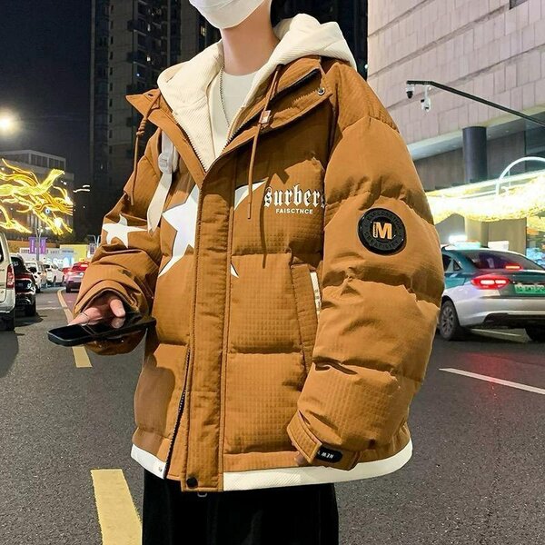 Doudoune Homme Hiver Style Urbain