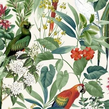 Papier Peint Tropical Jungle