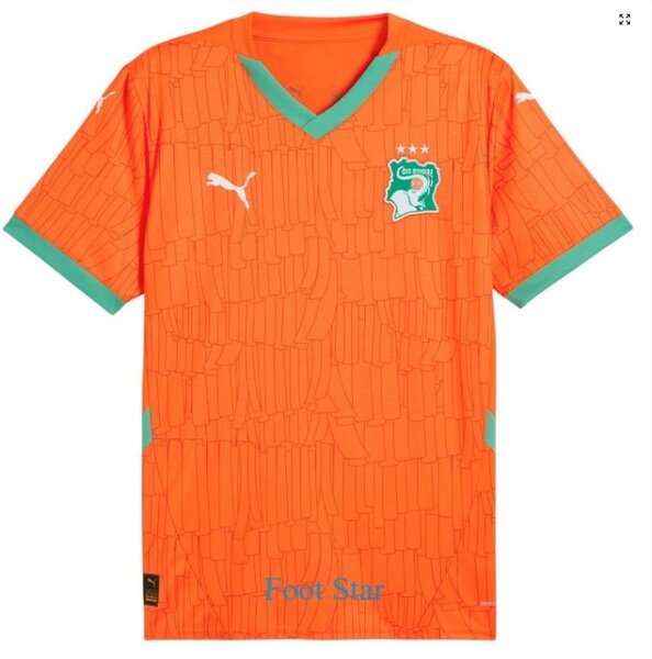 Maillot Côte d'Ivoire Puma