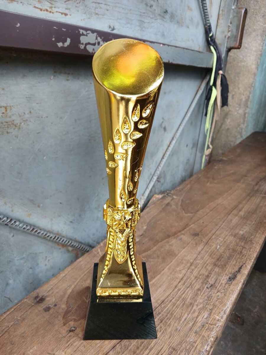 Trophée de Football Doré