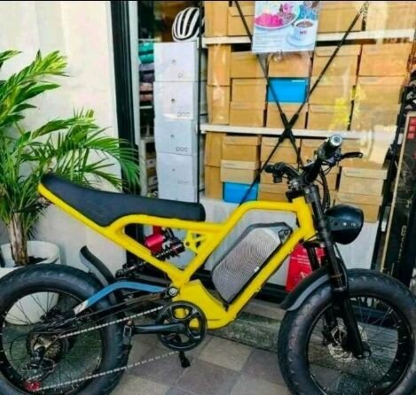 Vélo électrique puissant urbain