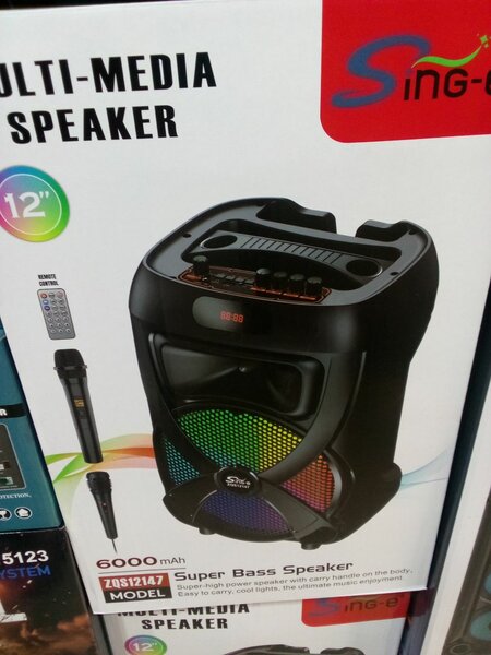 Enceinte Bluetooth portable avec microphone - 12'' - 6000mAh