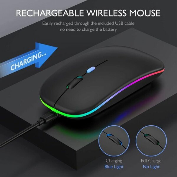 Souris Sans Fil Rechargeable