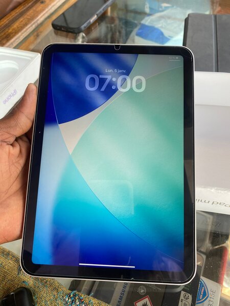 Apple iPad Mini Wi-Fi 256