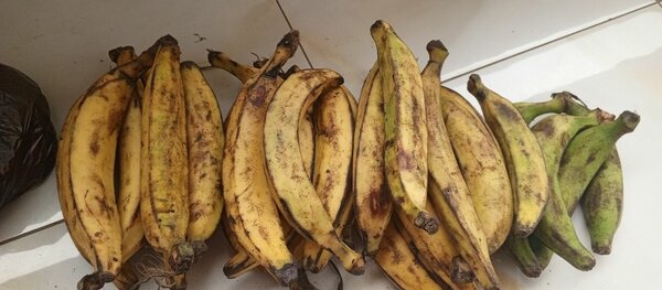 Bananes