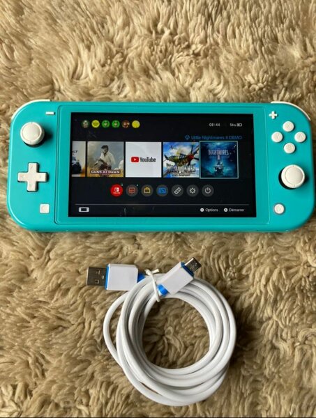 Nintendo switch lite