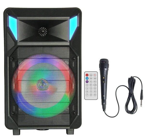 Boîte de son 8 pouce haut-parleur dynamique avec système de