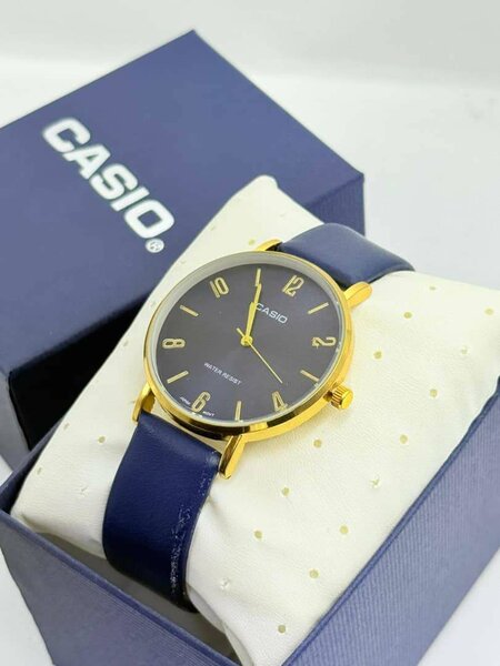Casio Classic Leather Watches