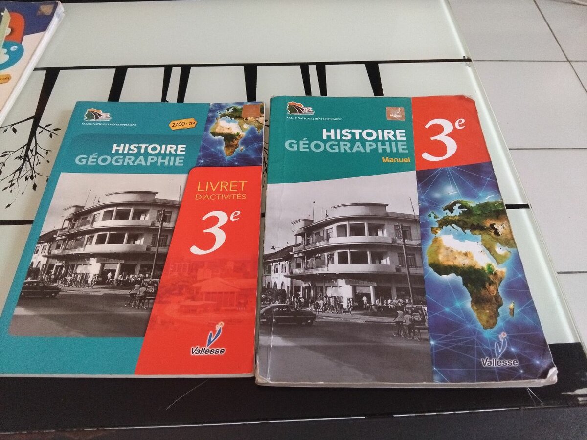 Lot de manuels scolaires 3e
