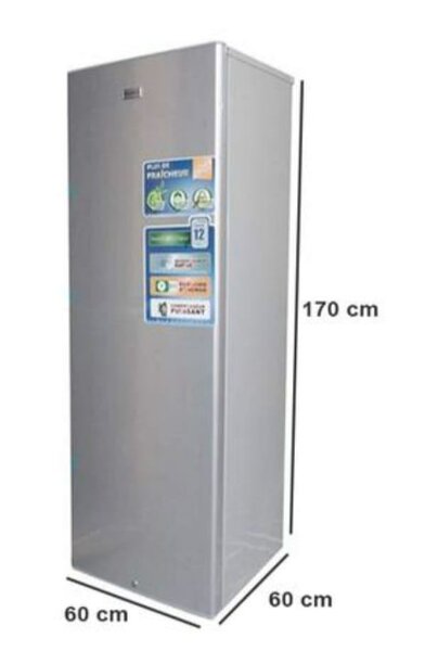 Grand congélateur vertical