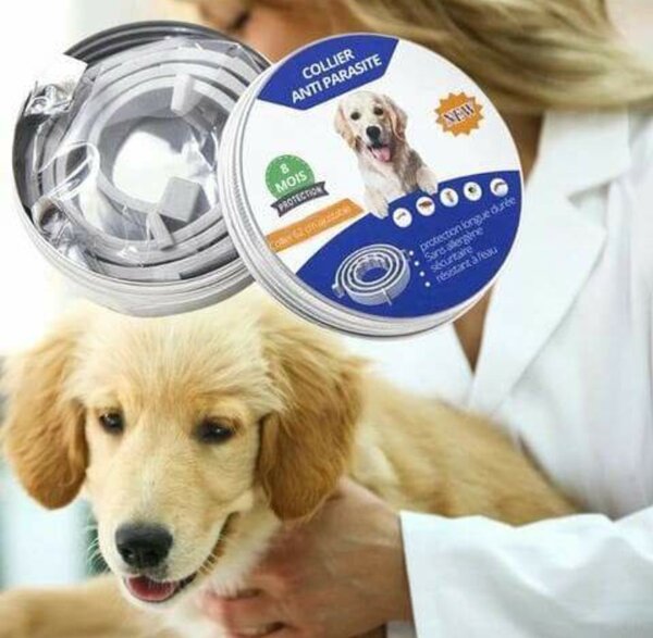 Collier Anti-Parasite pour Chien