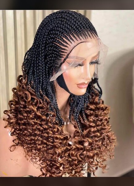Braided wigS