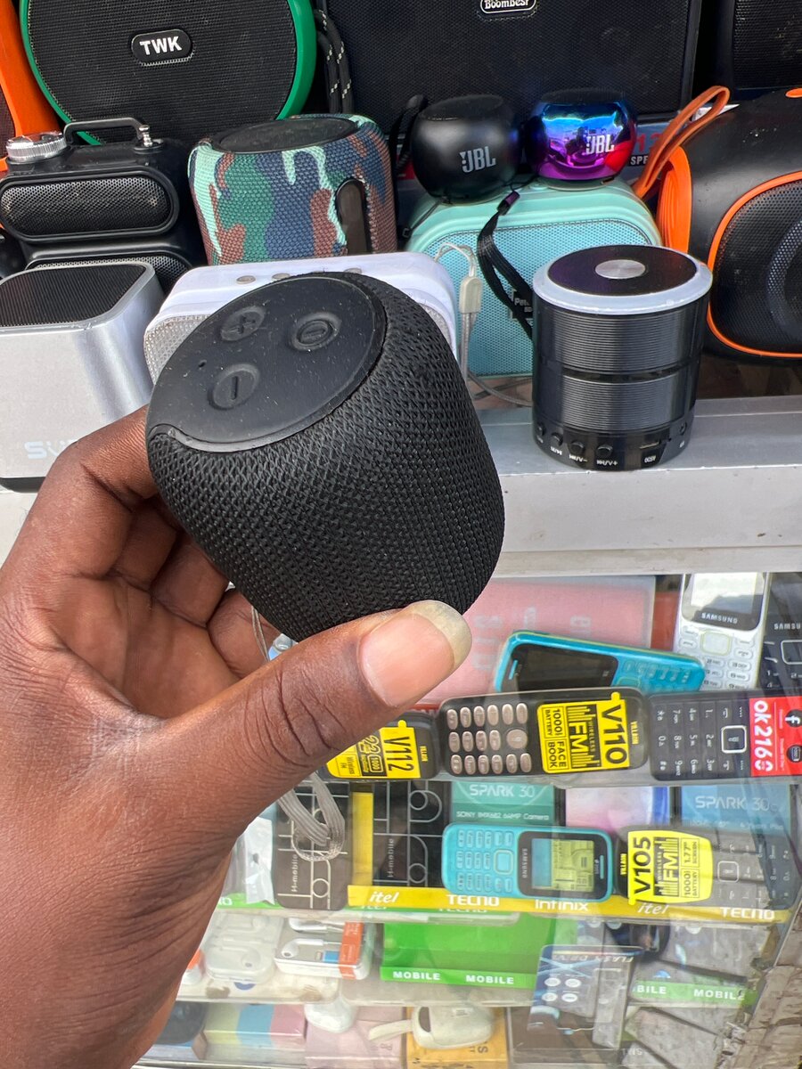 WSTER WS-305 sans fil Speaker