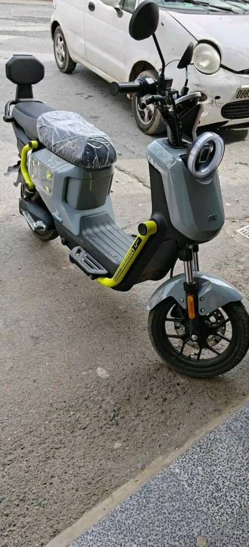 Trottinette Électrique NIU Gris