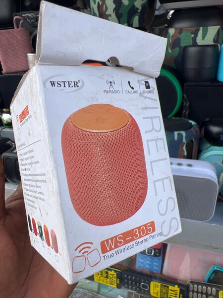 WSTER WS-305 sans fil Speaker