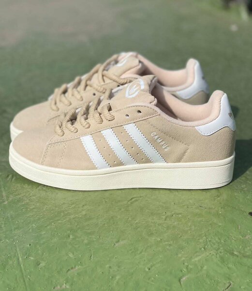 Adidas campus beige Blanc gros lacet