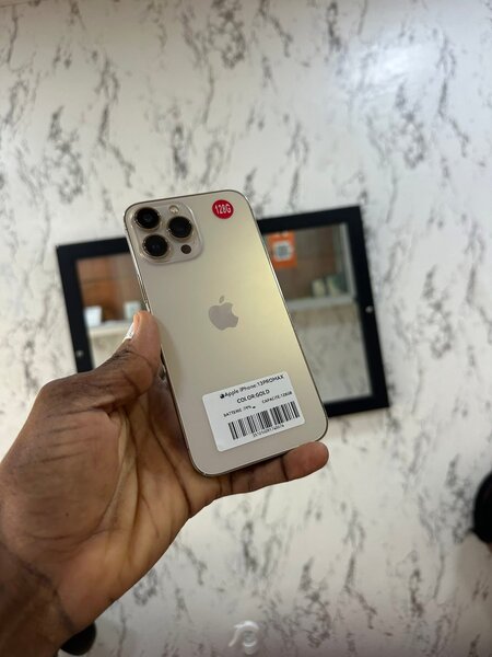 Apple iPhone Pro Max