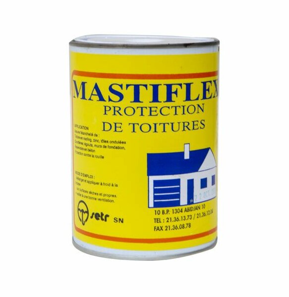 Mastiflex Protection Toitures