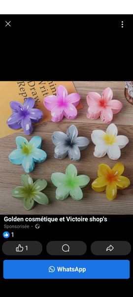 Pinces à cheveux fleuries colorées