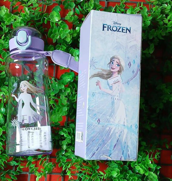 Gourde Reine des Neiges Elsa