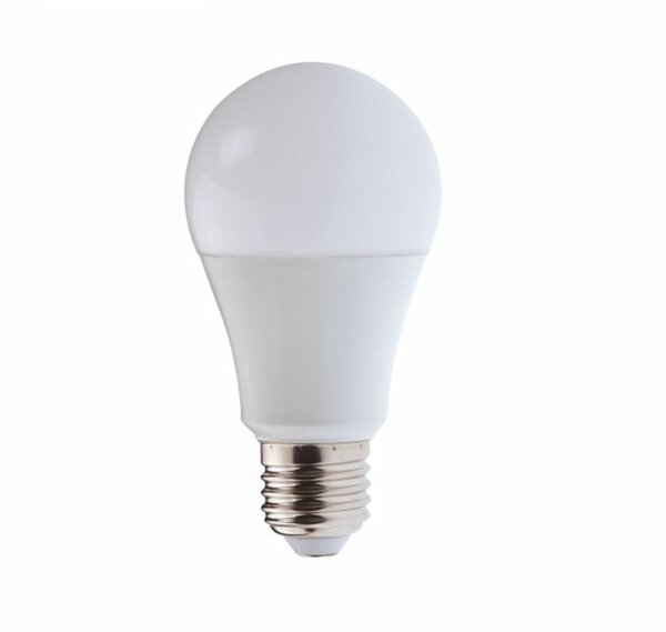 Ampoule LED Économie d'Énergie