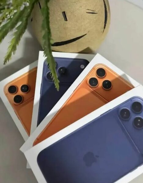 iPhone 13 couleurs vibrantes