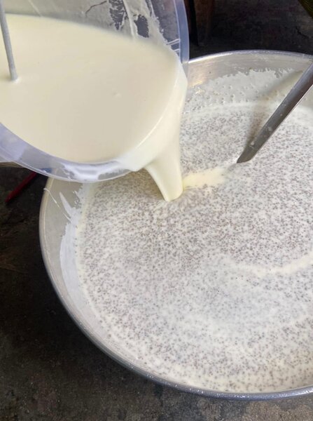 Yaourt Naturel Crémeux