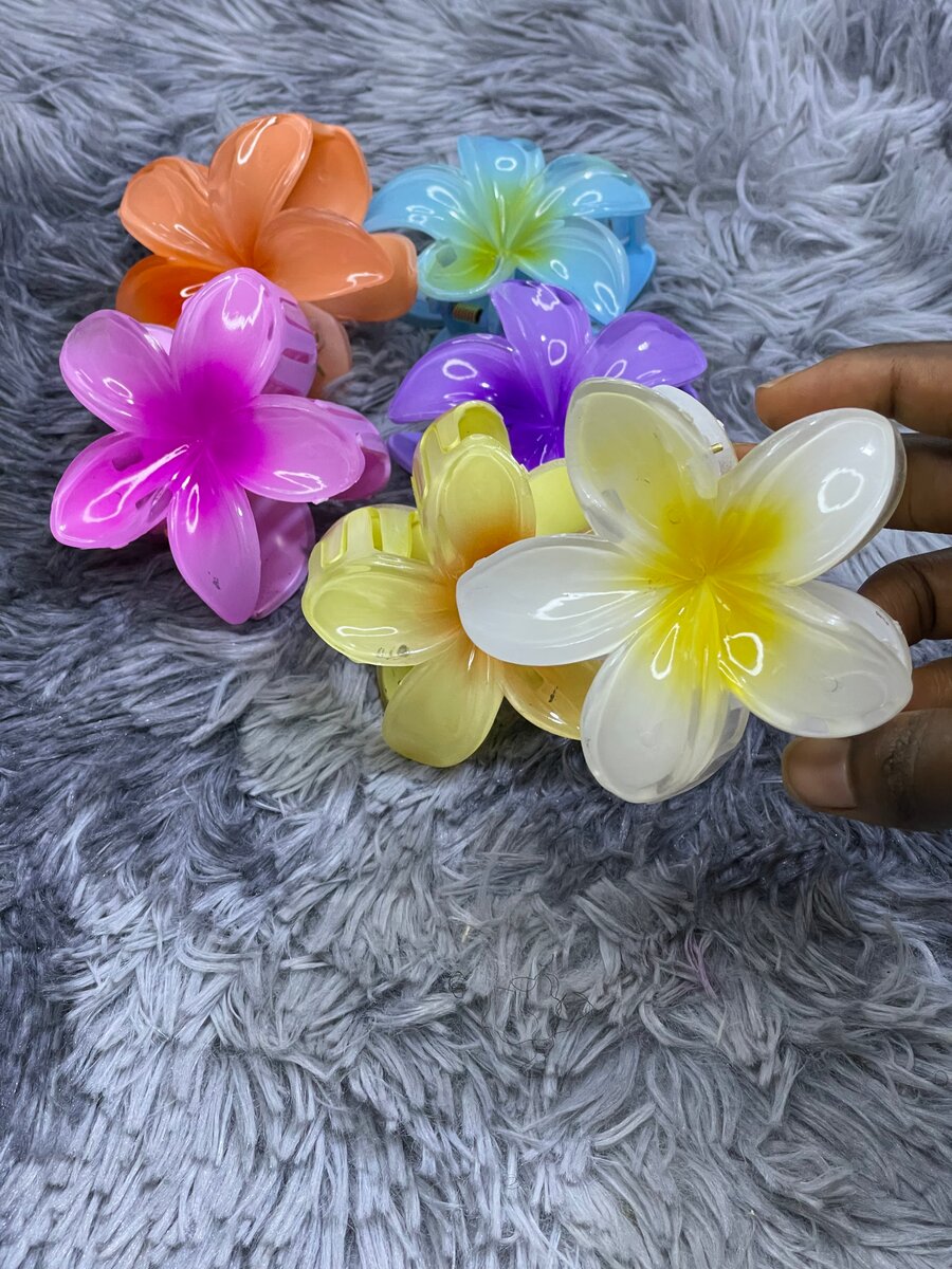 Pinces à cheveux fleurs colorées