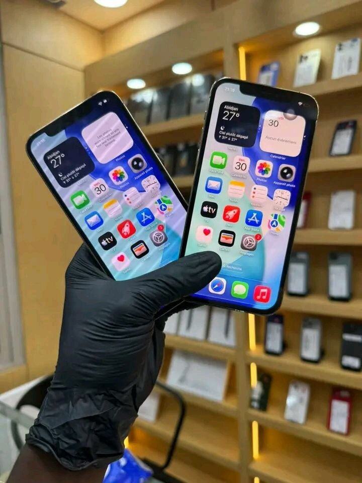 iPhone 13 Pro Reconditionné - 256Go