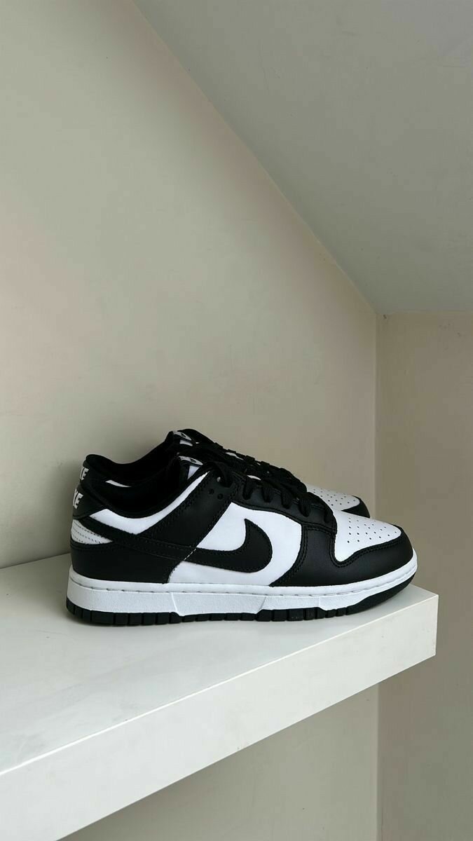 Baskets Nike SB colorées