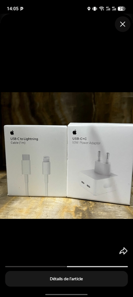 Adaptateur USB-C 20W et Câble Lightning