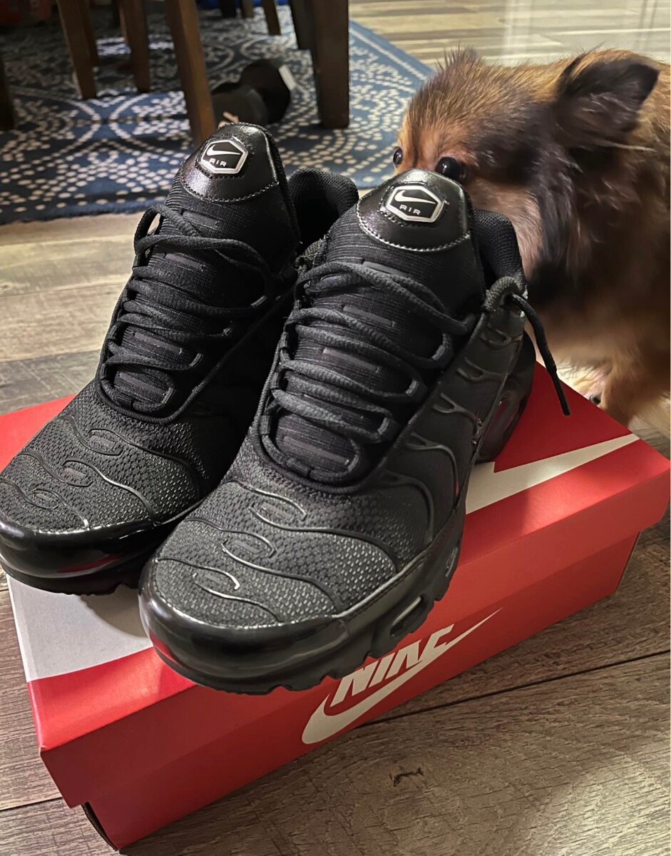 Nike Air Max Plus TN noir