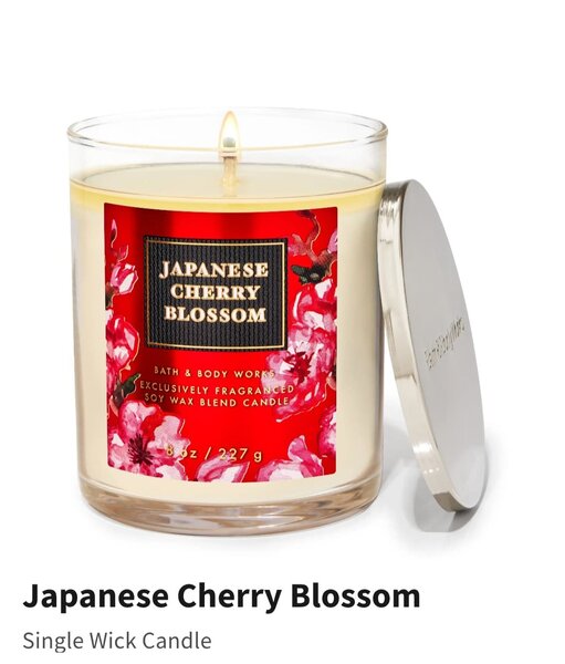 Bath and Body Works Single Wick Candles