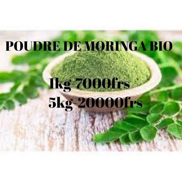 Moringa Bio en Poudre 1kg