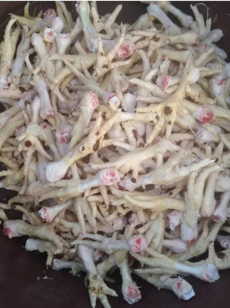 Pattes de Poulet Fraîches