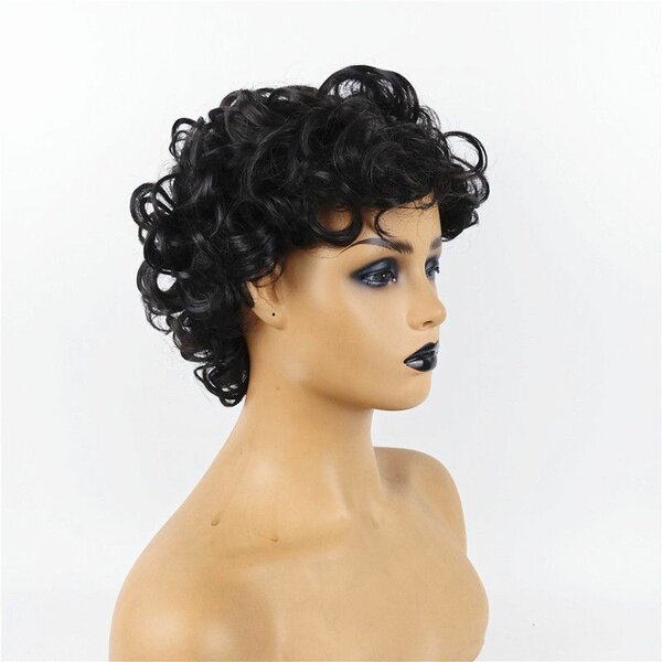 Short Curly Wig