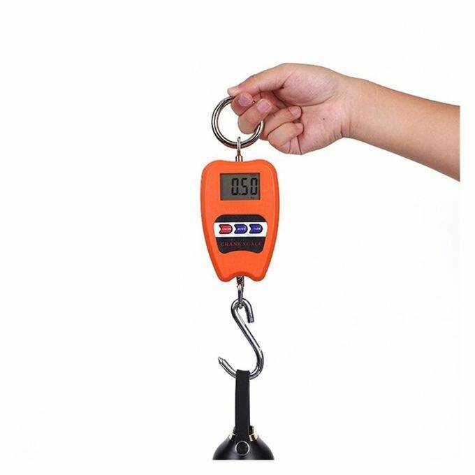 Balance Électronique Suspendue