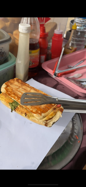Délicieux Panini
