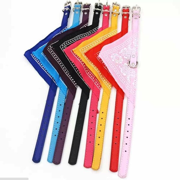 Collier petit caniche